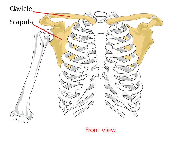 Shoulder Pain