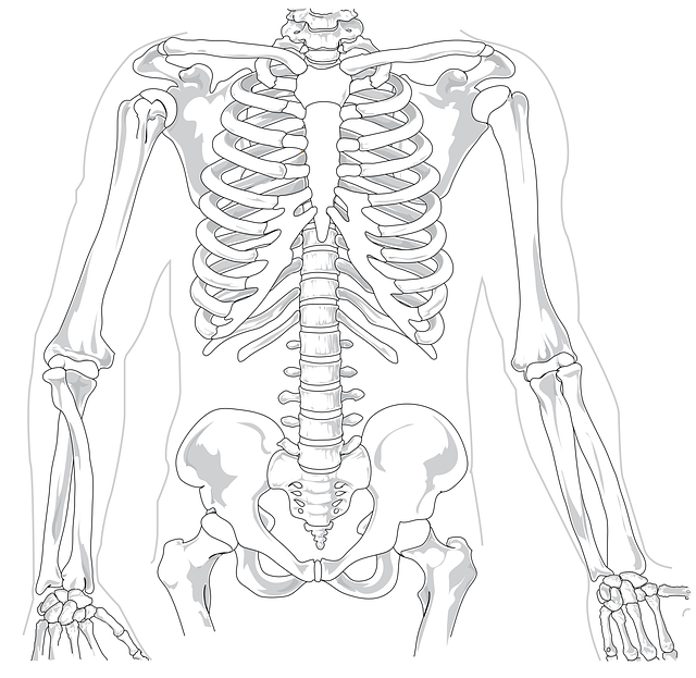 Spinal Ligament Injury Chiropractor