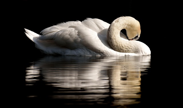 stiff-neck-640x480-88909562.jpeg