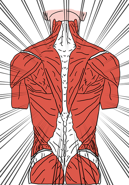 Upper Back Pain