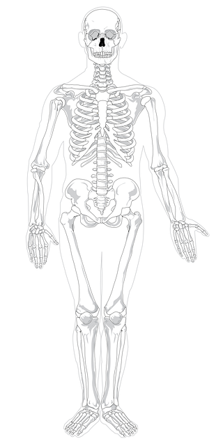 digital-motion-x-rays-640x480-94629991.png