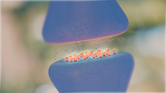 pinched-nerves-640x480-46294310.jpeg