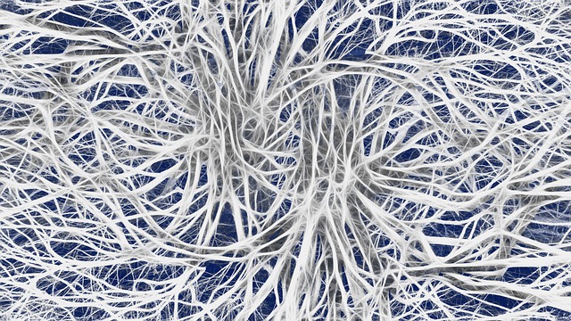 Pinched Nerves
