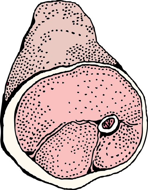shoulder-pain-640x480-5143728.png