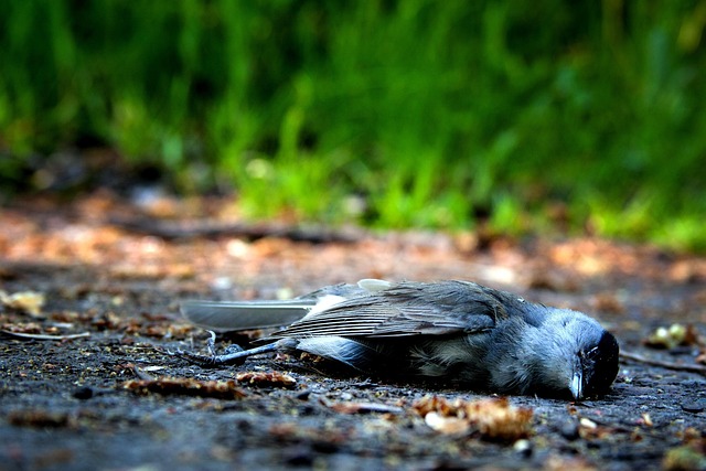 stiff-neck-640x480-59725726.jpeg