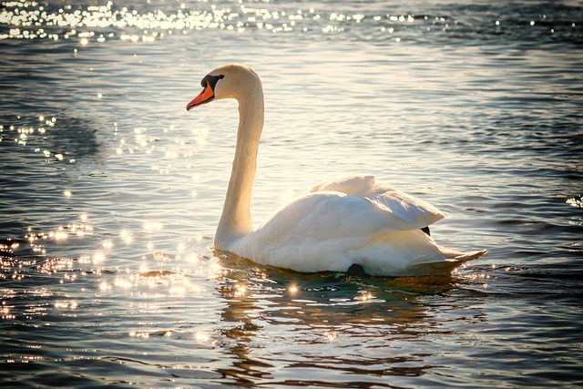 stiff-neck-640x480-630154.jpeg