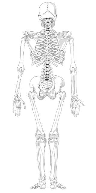 digital-motion-x-rays-640x480-98922105.png