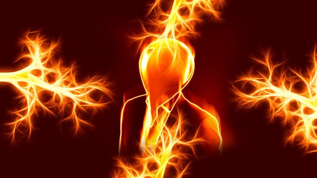 Chiropractor Care for Auto Accident Headaches &amp; Migraines