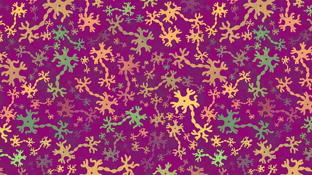 Pinched Nerves
