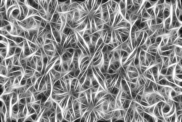 Pinched Nerves