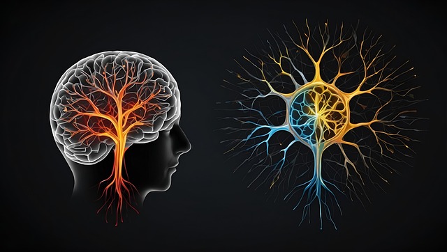 Pinched Nerves