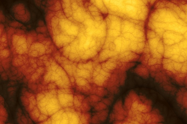 pinched-nerves-640x480-57456676.jpeg