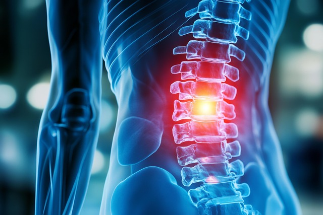 Uncovering Spinal Ligament Injuries in Car Collisions with Chiropractic Care