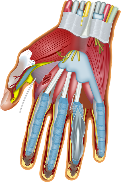 Spinal Ligament Injury Chiropractor
