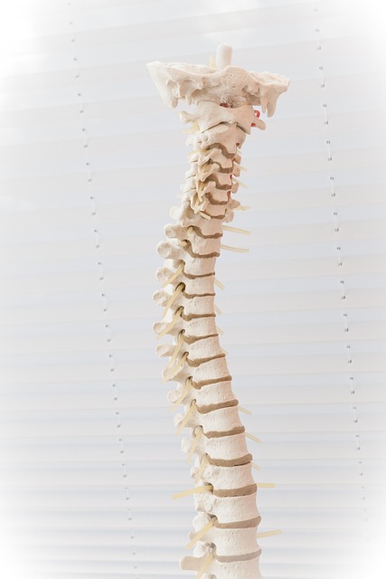 Back andNeck Spasms