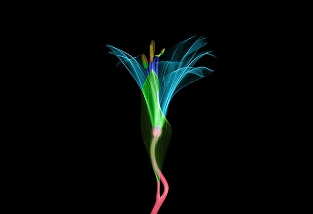 Digital Motion X-rays