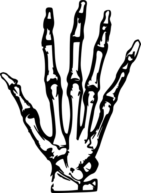 digital-motion-x-rays-640x480-4280774.png