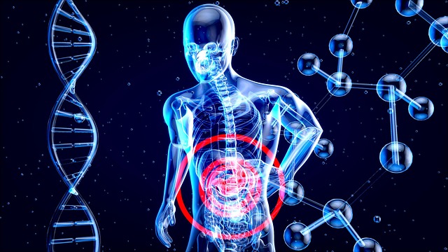 digital-motion-x-rays-640x480-70767989.jpeg