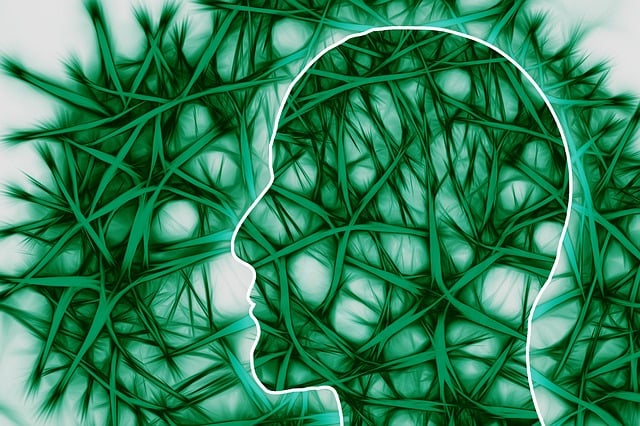 Pinched Nerves