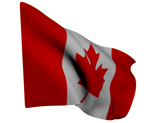 Red Flags and Chiropractic Care