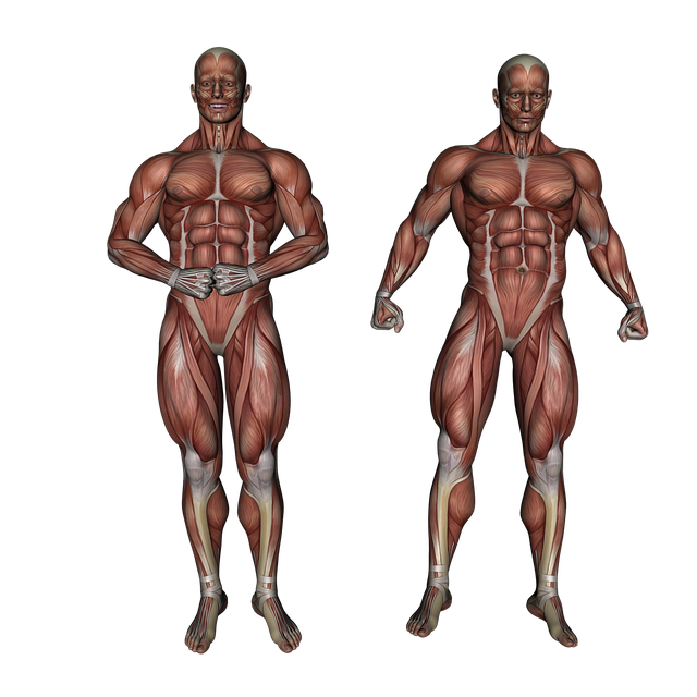 Spinal Ligament Injury Chiropractor