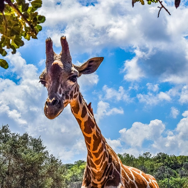 Maximizing Recovery: Chiropractic ROM Therapy After Car Crashes