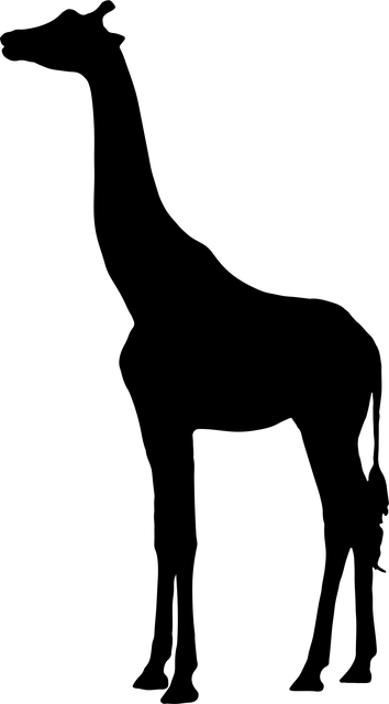 stiff-neck-640x480-62858946.png