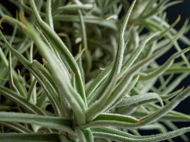 stiff-neck-640x480-82808387.jpeg