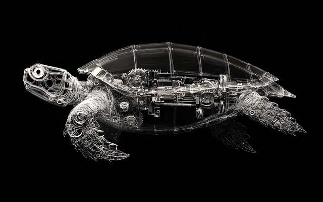 Digital Motion X-rays