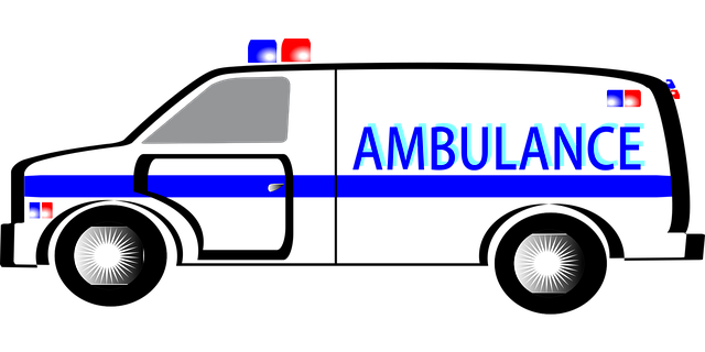 Emergency Chiropractic: Auto Trauma Recovery Simplified