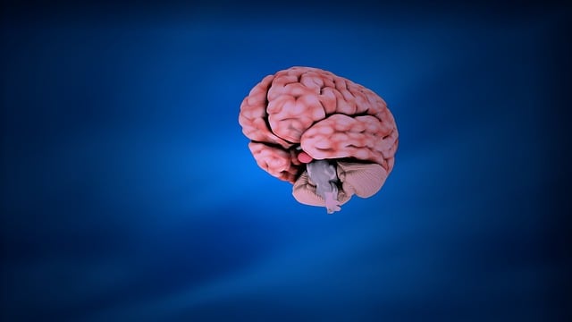Recognize, Treat, Relieve: Pinched Nerves After a Crash with Chiropractic Care