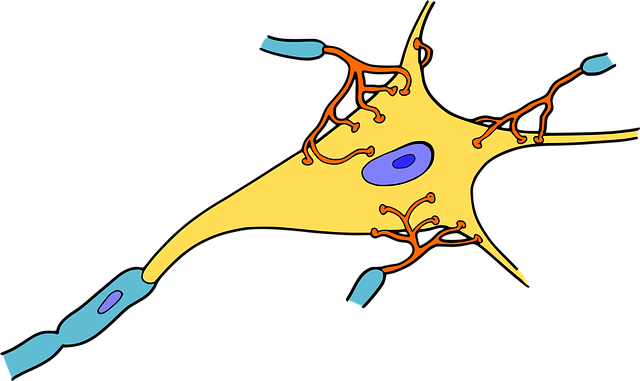 pinched-nerves-640x480-76911800.png