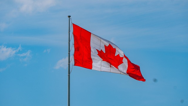 Red Flags and Chiropractic Care