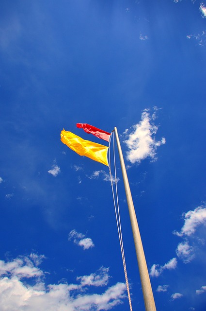 Unveiling Red Flags in Chiropractic Claims: Patient Protection