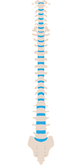 spinal-ligament-injury-chiropractor-640x480-56636322.png