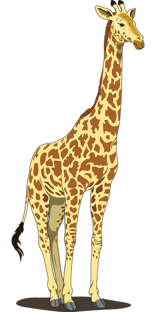 Stiff Neck