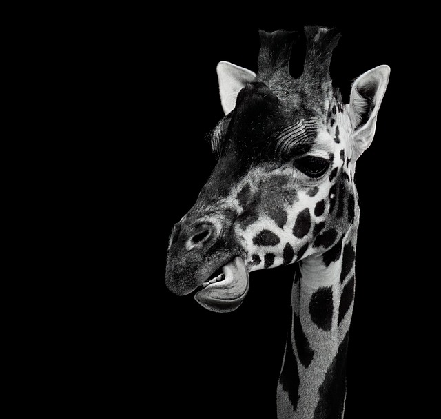 Stiff Neck