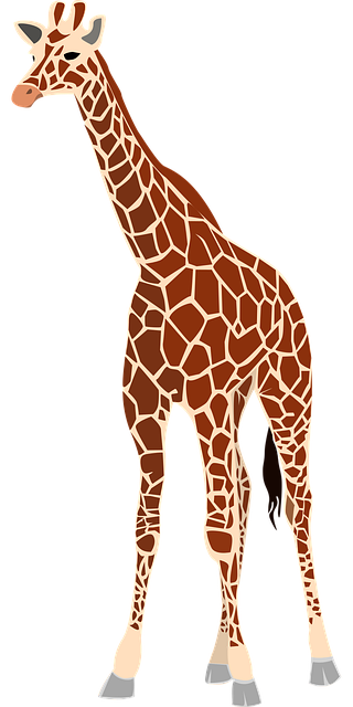 Stiff Neck