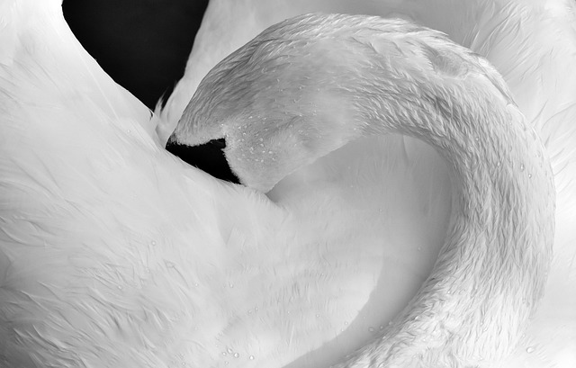 Stiff Neck
