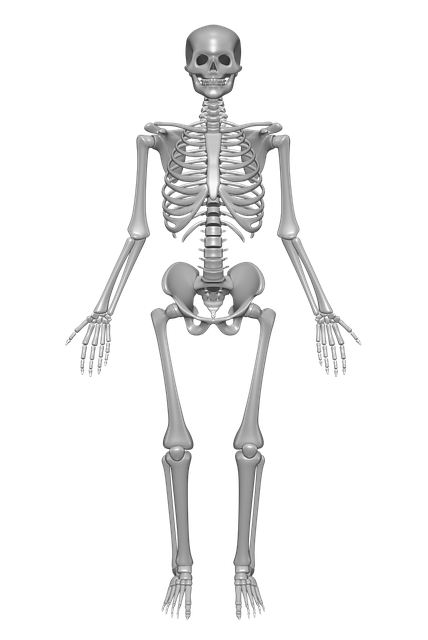 Chiropractic Spinal Alignment