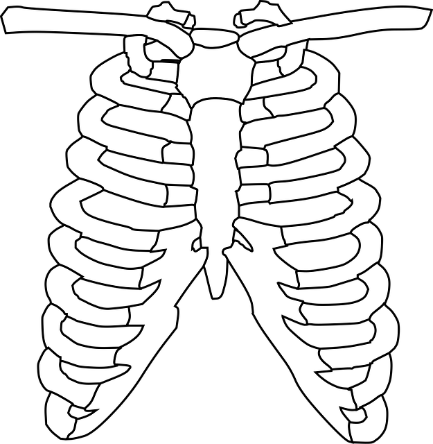 Digital Motion X-rays