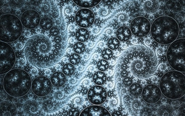 Digital Motion X-rays