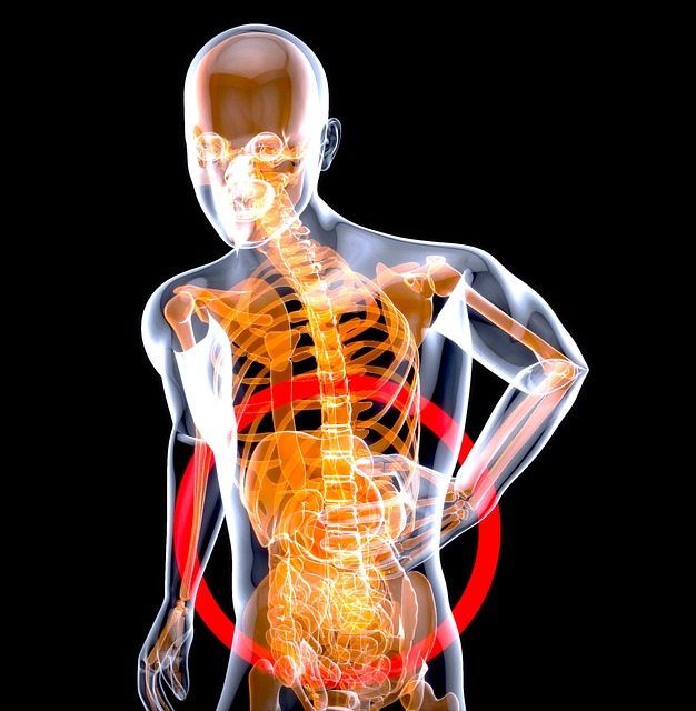 Digital Motion X-rays