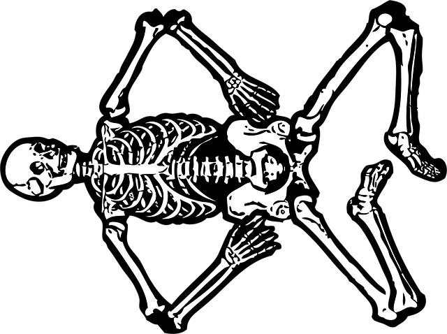 Digital Motion X-rays