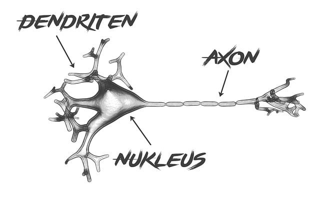 Pinched Nerves