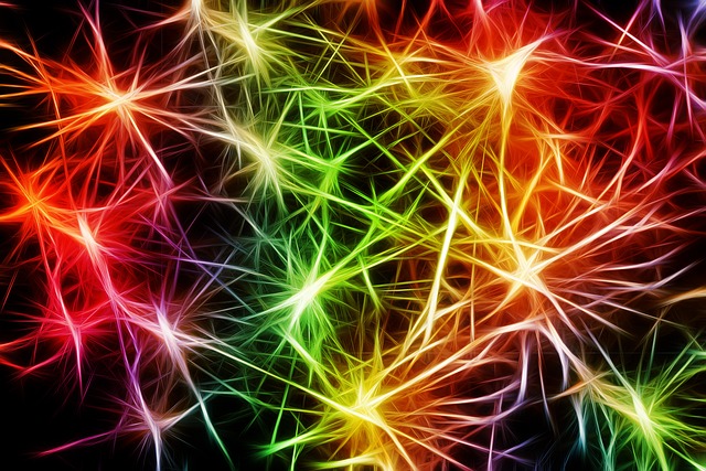 Pinched Nerves