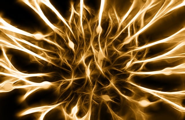 Pinched Nerves