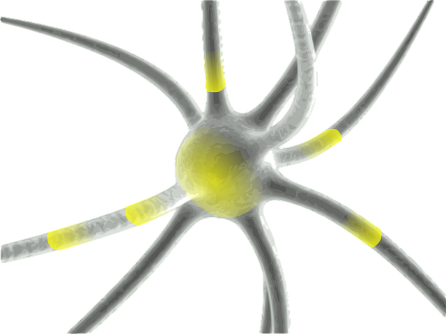 Pinched Nerves