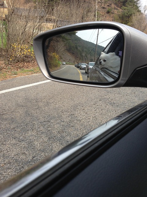 rear-end-car-collision-640x480-72722651.jpeg