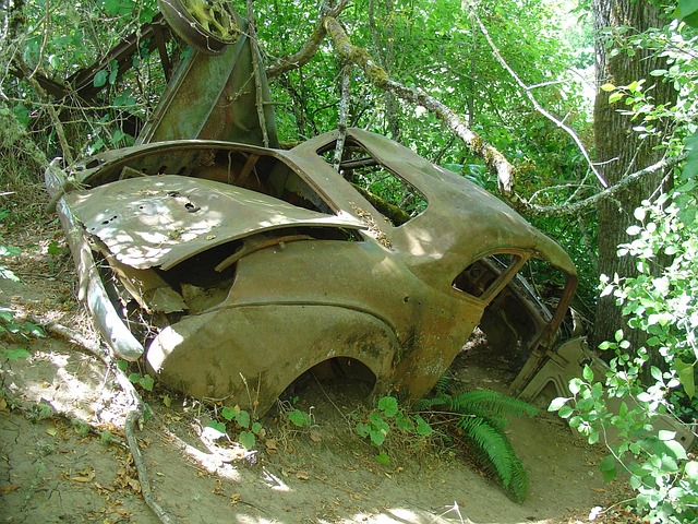 Rear End Car Collision